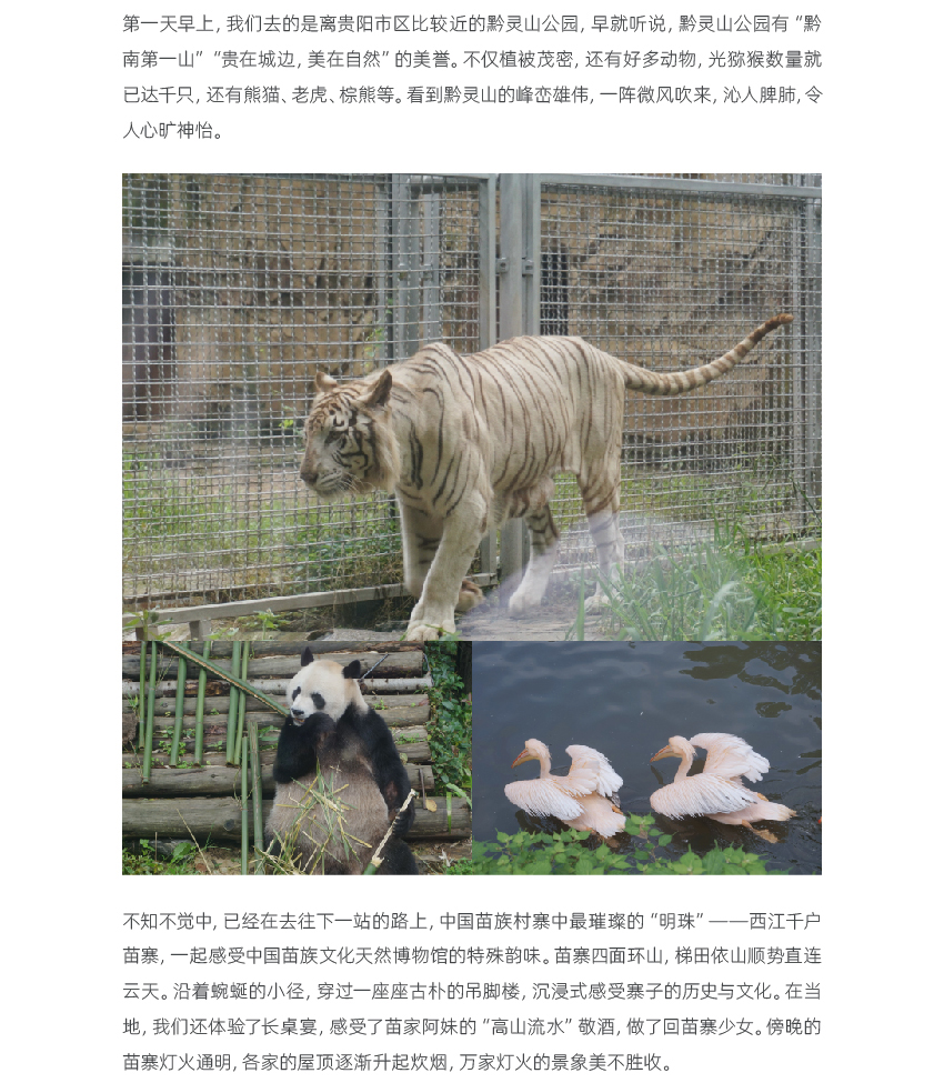 2.6-官網(wǎng)聯(lián)信風(fēng)采-海口_畫板-1_02.jpg